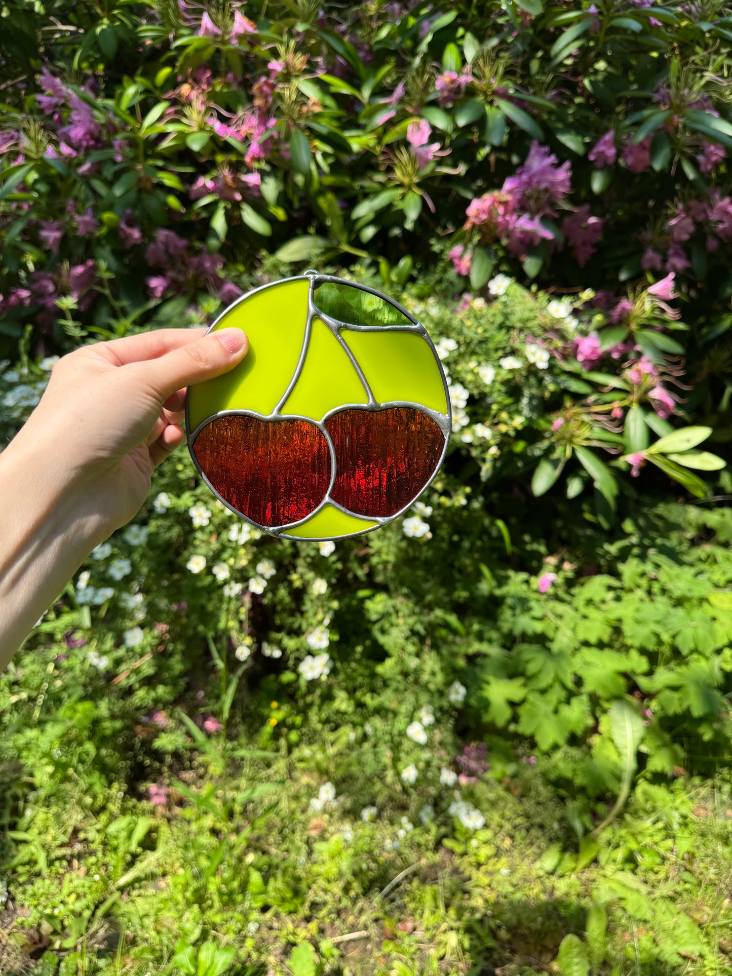 Cherry Circle