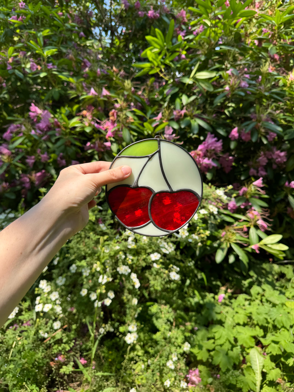 Cherry Circle