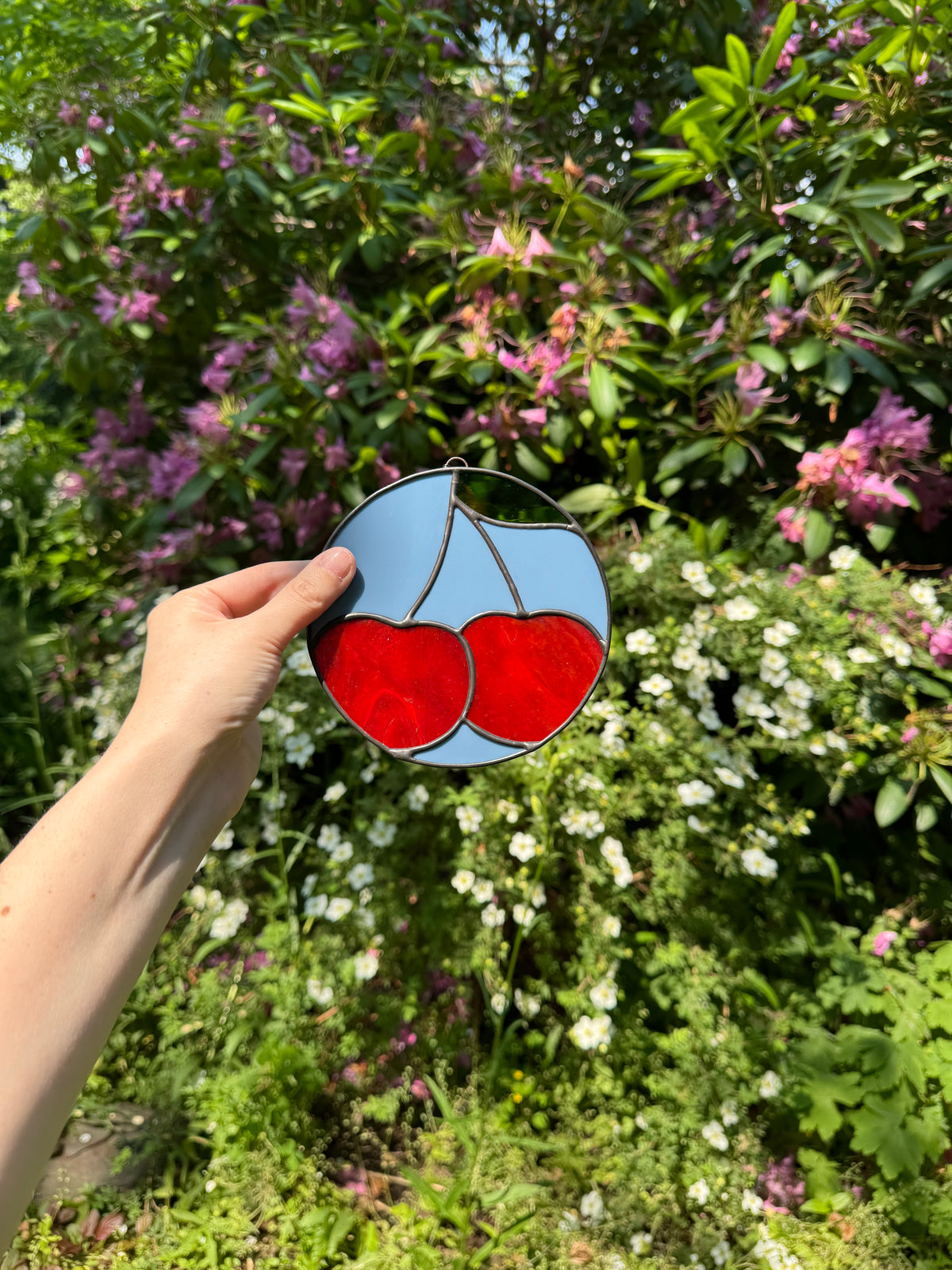 Cherry Circle